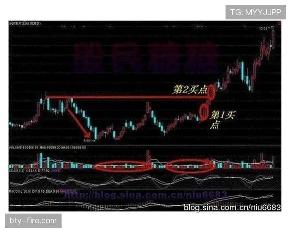 加纳能否重现2010辉煌 2026世界杯黑马潜力深度解析